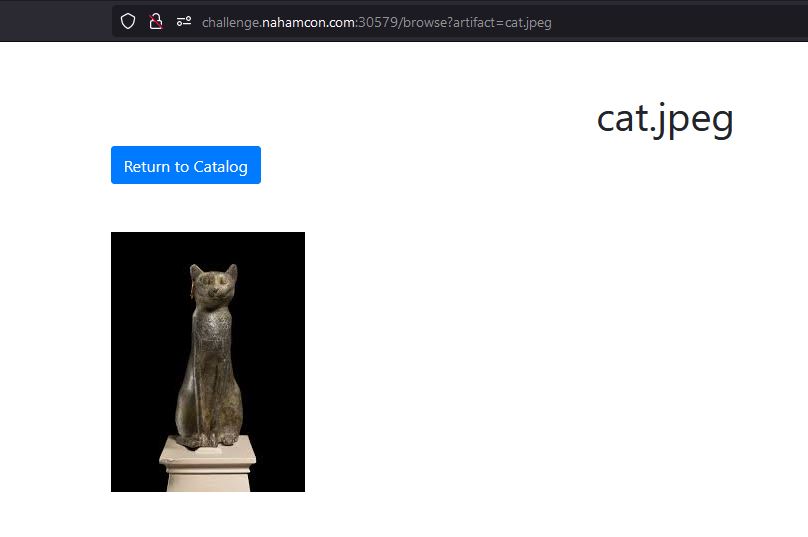 cat